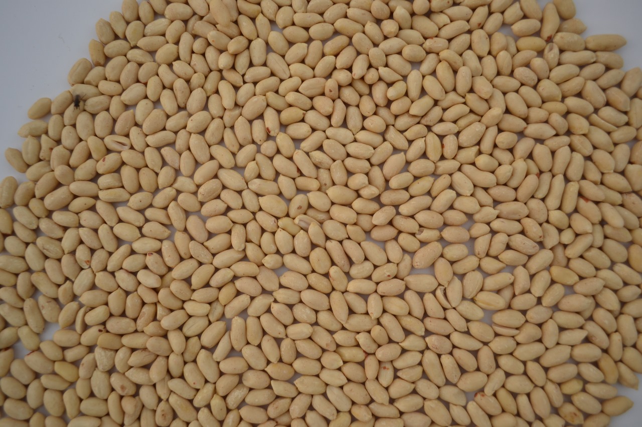 Salted Peanuts Packaging